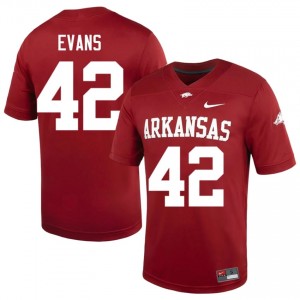 Jeremy Evans #42 Arkansas Razorbacks Cardinal Authentic Men's Football NCAA Jersey | Hog Wild Premium Gear 96678704