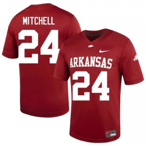 Miguel Mitchell #24 Razorbacks Cardinal Authentic Men's Football Player Jersey | Hog Wild Premium Gear 64539711