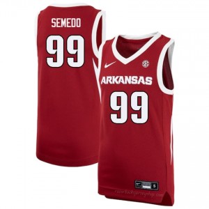 Paulo Semedo #99 Cardinal Men's Basketball University Jersey | Official Arkansas Razorbacks Team Apparel 97397611