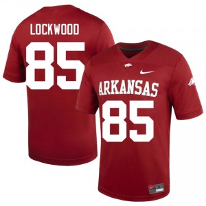 #85 Ty Lockwood Arkansas Cardinal Men's Football Jersey | SEC NCAA Licensed Gear 64685568