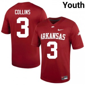 Alex Collins #3 Arkansas Cardinal Authentic Youth Football High School Jersey | Hog Wild Premium Gear 83474336