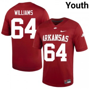 #64 Bryant Williams Arkansas Cardinal Youth Football Jersey | SEC NCAA Licensed Gear 40600138