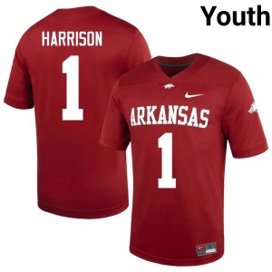 #1 Christian Harrison Razorbacks Cardinal Youth Football Jersey | SEC NCAA Licensed Gear 19142790