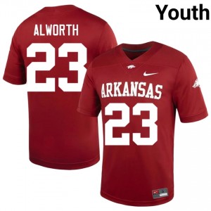 Lance Alworth #23 Arkansas Razorbacks Cardinal Authentic Youth Football NCAA Jersey | Hog Wild Premium Gear 29619704