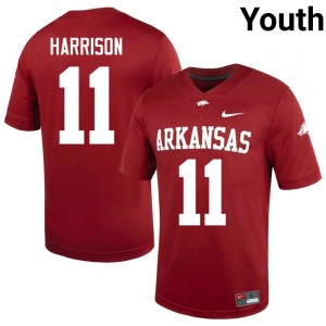 #11 Monte Harrison Arkansas Cardinal Youth Football Jersey | SEC NCAA Licensed Gear 53875658