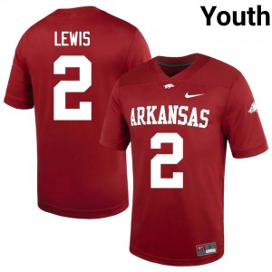 #2 Shelton Lewis UARK Cardinal Youth Football Jersey | SEC NCAA Licensed Gear 73964642